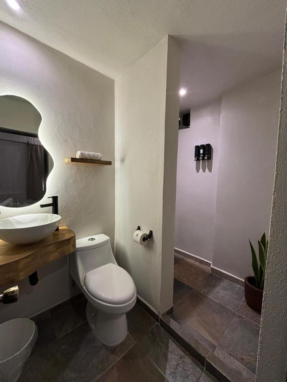 Hotel Aleia Centro
