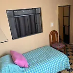 La Adornada Girasol