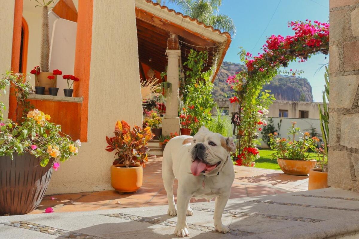 Apartamento With Free Parking Taxco de Alarcón